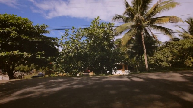 Video Reference N1: Tree, Property, Vegetation, Daytime, Sky, Residential area, Road, Palm tree, Asphalt, Arecales