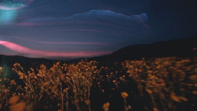 Video Reference N0: Sky, Nature, Cloud, Atmosphere, Horizon, Ecoregion, Night, Dusk, Evening, Wildflower