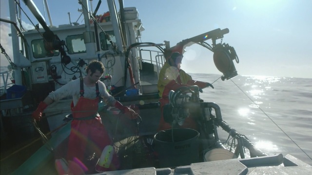 Video Reference N2: water, mode of transport, sea, diving equipment, ocean, personal protective equipment