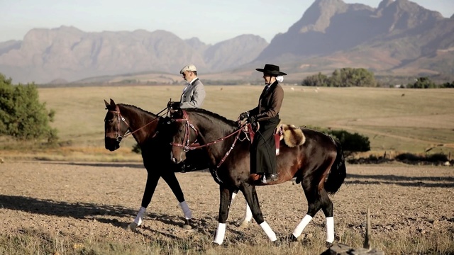Video Reference N3: ecosystem, horse, ranch, rein, western riding, steppe, mustang horse, horse like mammal, bridle, grassland, Person
