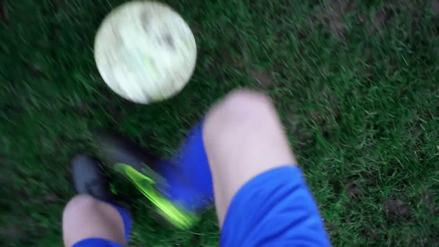 Video Reference N10: Green, Nature, Ball, Grass, Hand, Finger, Soccer ball, Leaf, Grass, Leg