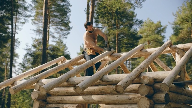 Video Reference N8: Wood, Tree, Recreation, Leisure, Fence, Lumber
