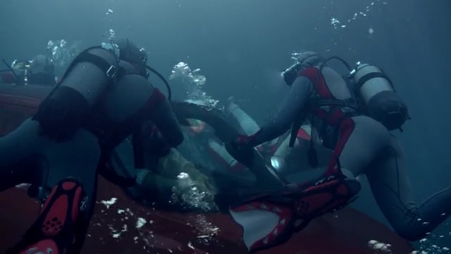 Video Reference N1: divemaster, underwater diving, scuba diving, underwater, diving equipment, dry suit, marine biology, aquanaut, buoyancy compensator, organism
