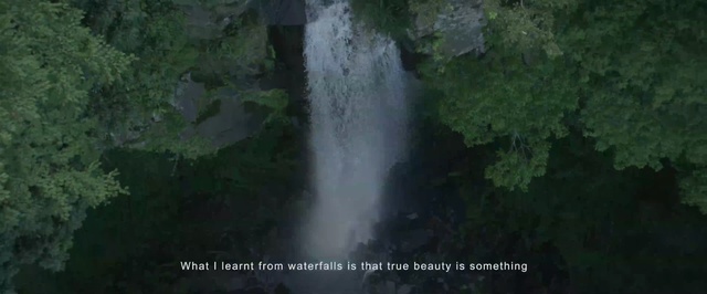 Video Reference N0: waterfall, nature, water, body of water, nature reserve, vegetation, water resources, watercourse, water feature, river, Person