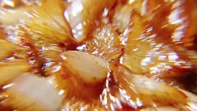 Video Reference N2: Close-up, Macro photography, Food, Cuisine