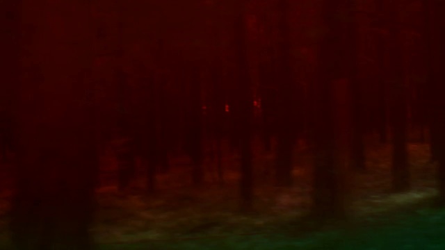 Video Reference N2: Red, Black, Nature, Green, Orange, Darkness, Atmospheric phenomenon, Light, Morning, Atmosphere