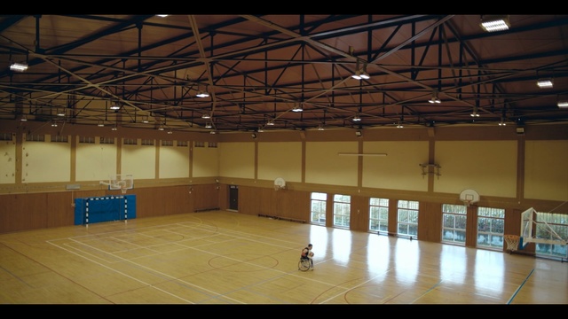 Video Reference N2: Sport venue, Field house, Building, Hall, Basketball court, Floor, Room, Flooring, Arena, Person