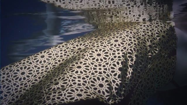 Video Reference N2: doily, lace, textile, organism, material, crochet, pattern