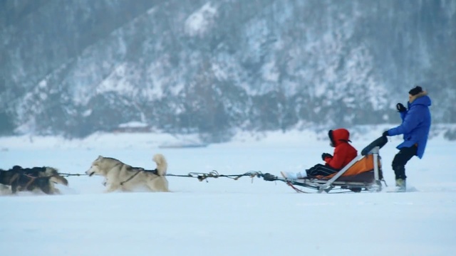 Video Reference N1: arctic, dog like mammal, sled dog racing, dog, mushing, geological phenomenon, winter, dog sled, snow, ice, Person