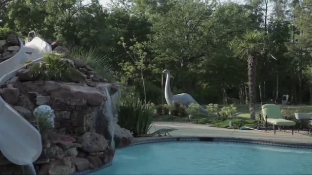 Video Reference N0: Swimming pool, Nature, Property, Bird, Nature reserve, Leisure, Zoo, Water, Pond, Backyard, Person