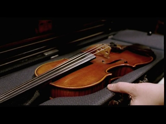 Video Reference N4: String instrument, Musical instrument, Violin, String instrument, Violin family, Bowed string instrument, Music, Viola, Fiddle, Viol
