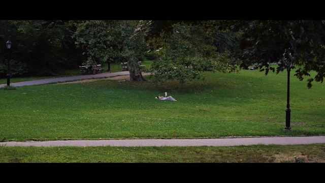 Video Reference N0: green, nature, lawn, grass, tree, vertebrate, plant, yard, sky, morning, Person