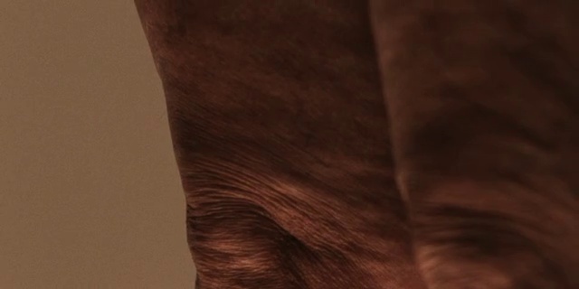 Video Reference N6: Brown, Skin, Wood, Leg, Hand, Caramel color, Brown hair, Leather