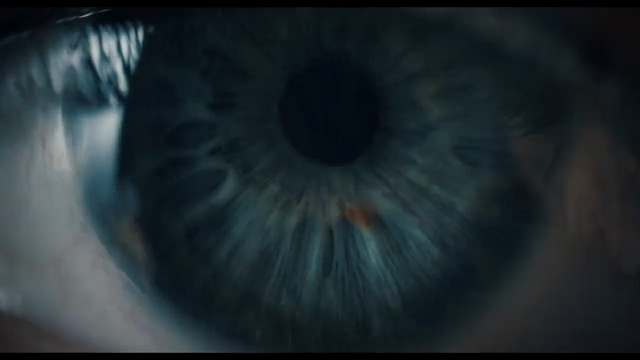 Video Reference N1: Iris, Eye, Blue, Close-up, Organ, Eyelash, Organism, Macro photography, Photography, Darkness
