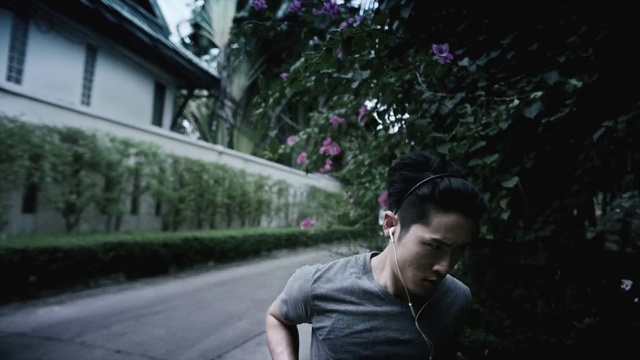Video Reference N2: Photograph, Snapshot, Cool, Tree, Photography, Street, Infrastructure, Road, Black hair, Plant