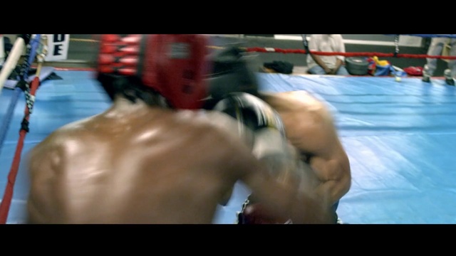 Video Reference N4: Boxing, Professional boxing, Muscle, Striking combat sports, Barechested, Arm, Sport venue, Chest, Back, Contact sport