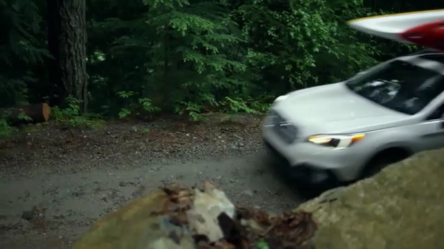 Video Reference N3: Land vehicle, Vehicle, Car, Off-roading, Leaf, Tree, Honda element, Trail, Recreation, Crossover suv