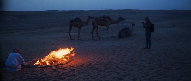 Video Reference N2: Camel, Camelid, Desert, Arabian camel, Natural environment, Sand, Landscape, Sahara, Aeolian landform, Heat, Person