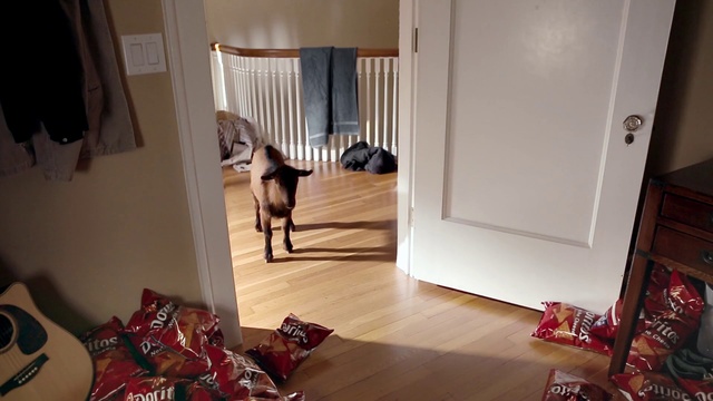 Video Reference N1: Room, Floor, Property, Interior design, Home, House, Flooring, Living room, Hardwood, Window covering