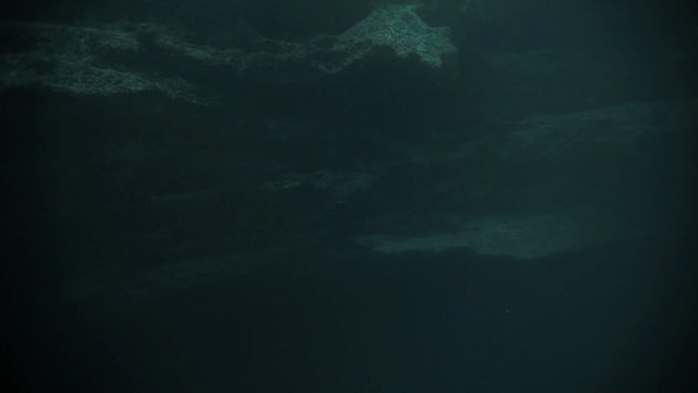 Video Reference N8: underwater, atmosphere, turquoise, water, darkness, sea, ocean, sky, marine biology, computer wallpaper