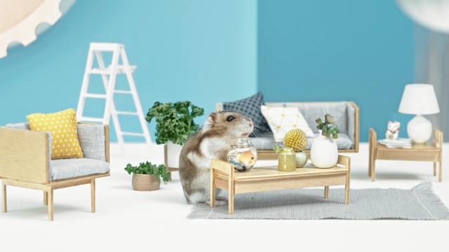 Video Reference N4: Room, Interior design, Furniture, Yellow, Living room, Table, Coffee table, Home, House, Fawn, Person
