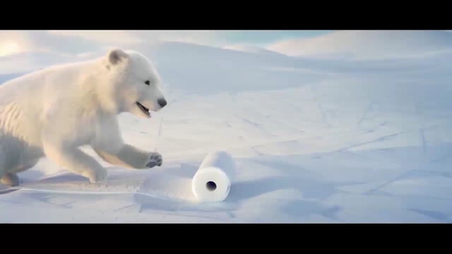 Video Reference N3: Polar bear, Mammal, Bear, Vertebrate, Polar ice cap, Natural environment, Arctic, Polar bear, Atmospheric phenomenon, Carnivore