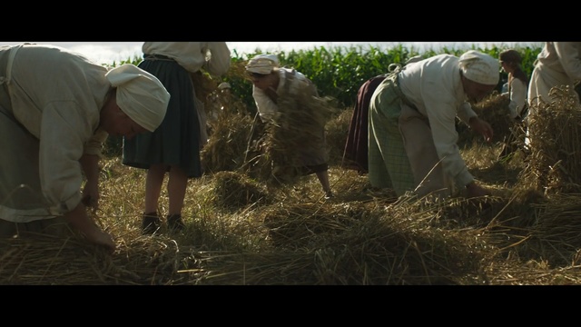 Video Reference N3: Agriculture, Adaptation, Straw, Grass, Rural area, Plant, Grass, Tree, Soil, Farmworker
