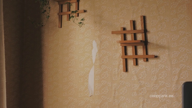 Video Reference N0: Wall, Wood