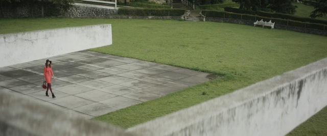 Video Reference N1: grass, green, lawn, walkway, yard, wall, property, public space, backyard, structure