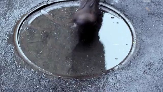 Video Reference N0: water, asphalt, automotive tire, puddle, tar