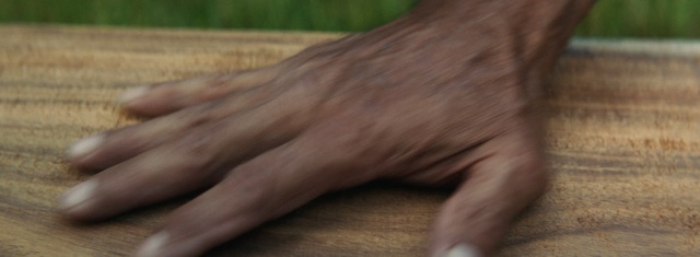 Video Reference N2: hand, finger, wood, close up, arm, thumb, grass, neck