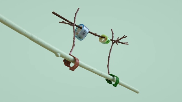 Video Reference N3: branch, twig, insect, plant, sky, tree, plant stem