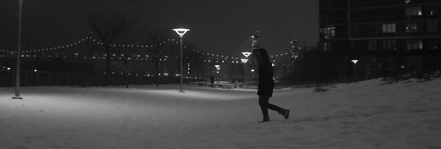 Video Reference N0: snow, white, black, photograph, black and white, night, winter, darkness, freezing, monochrome photography, Person