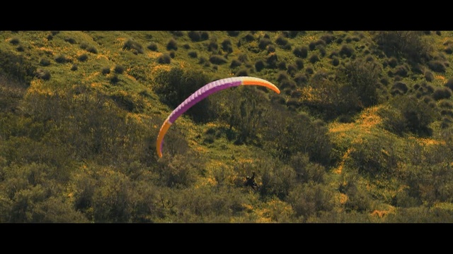 Video Reference N5: paragliding, air sports, sky, windsports, parachuting, parachute, landscape, grass, forest