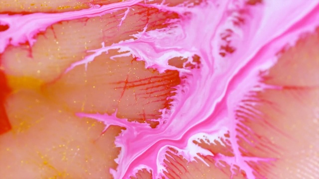 Video Reference N12: Pink, Close-up, Petal, Peach, Plant, Flower, Flesh