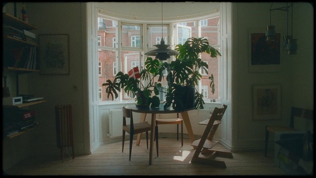 Video Reference N3: Room, Houseplant, Furniture, Property, Home, House, Interior design, Table, Window, Building