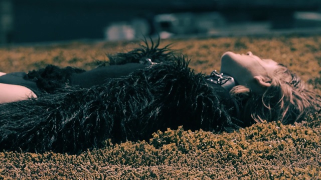 Video Reference N4: grass, photography, girl, soil, tree, plant, darkness, sky
