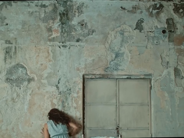 Video Reference N2: wall, painting, plaster, ancient history, stone wall, mural, art, concrete, archaeological site