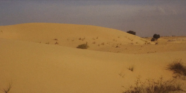 Video Reference N1: erg, desert, ecosystem, aeolian landform, singing sand, sahara, sand, landscape, dune, ecoregion