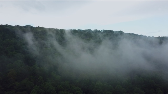 Video Reference N0: Mist, Nature, Atmospheric phenomenon, Hill station, Fog, Vegetation, Highland, Morning, Water resources, Waterfall