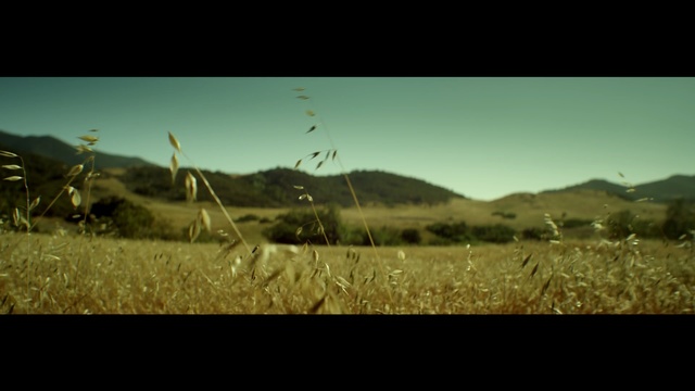 Video Reference N2: sky, ecosystem, grassland, grass, field, atmosphere, hill, prairie, grass family, morning