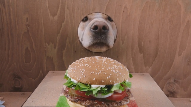 Video Reference N11: Hamburger, Food, Fast food, Whopper, Veggie burger, Dish, Junk food, Cheeseburger, Cuisine, Pan-bagnat