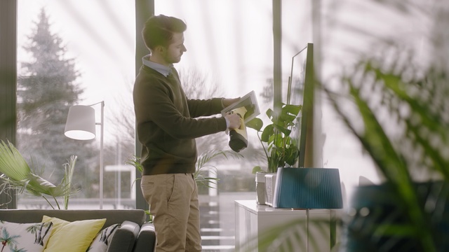 Video Reference N0: Green, Botany, Houseplant, Morning, Plant, Floral design, Window, Floristry, Flower, Sunlight, Person
