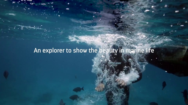 Video Reference N0: Water, Underwater, Organism, Marine biology, Ocean, Font, Sea, Photography, Recreation, World
