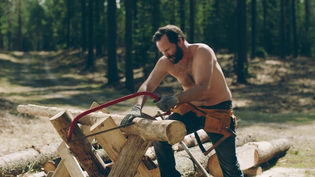 Video Reference N1: Wood chopping, Barechested, Wood, Vehicle, Tree, Lumberjack, Chainsaw