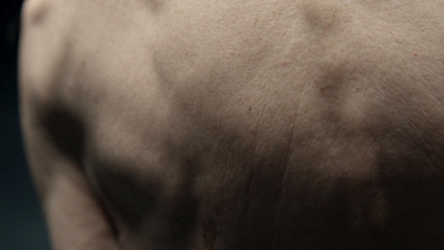 Video Reference N2: skin, nose, close up, chin, forehead, snout, neck, eye, mouth, arm