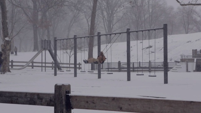 Video Reference N0: snow, winter, freezing, blizzard, winter storm, tree, handrail, fence, guard rail, Person