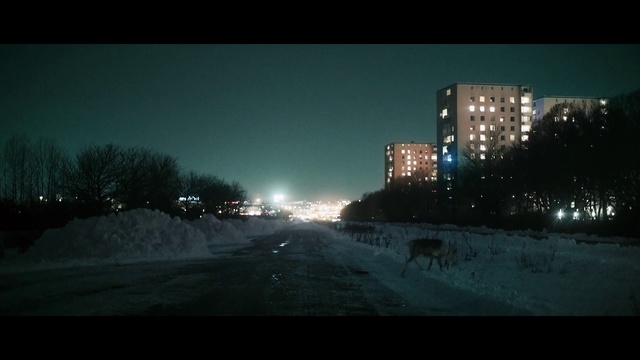 Video Reference N0: Snow, Nature, Sky, Winter, Freezing, Atmospheric phenomenon, Night, Urban area, Atmosphere, Evening