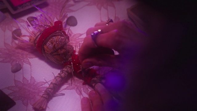 Video Reference N4: Red, Pink, Violet, Purple, Magenta, Macro photography, Organism, Photography, Flesh, Plant