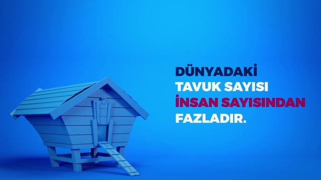 Video Reference N0: Blue, Product, Property, House, Azure, Real estate, Roof, Font, Architecture, Shed